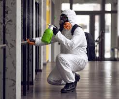 Williamsport, PA Mold Removal Company